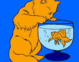 Disegno Gatto che osserva il pesciolino  pitturato su Camilla