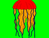 Disegno Medusa  pitturato su sst