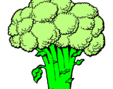 Disegno Broccoli  pitturato su Monica