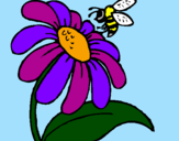 Disegno Margherita con ape  pitturato su lacrima