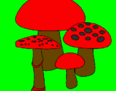 Disegno Funghi pitturato su SAMY