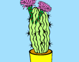 Disegno Cactus fioriti pitturato su martina