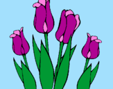 Disegno Tulipani  pitturato su giorgia 98