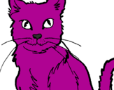 Disegno Gatto  pitturato su sara