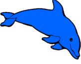 Disegno Delfino felice  pitturato su OCEANO