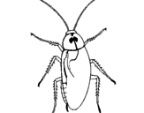 Disegno Scarafaggio grande  pitturato su scarafaggio