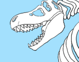 Disegno Scheletro di Tyrannosaurus rex pitturato su Tiger