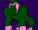 Disegno Gorilla pitturato su federico