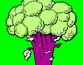 Disegno Broccoli  pitturato su beatrice