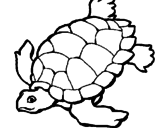 Disegno Tartaruga  pitturato su simona