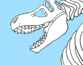 Disegno Scheletro di Tyrannosaurus rex pitturato su radio rds