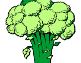 Disegno Broccoli  pitturato su VERA
