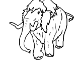 Disegno Mammuth II pitturato su matteo