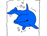 Disegno Delfino pitturato su Pesce