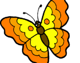 Disegno Farfalla  pitturato su farf gialla