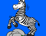 Disegno Zebra che salta sulle pietre  pitturato su maximo