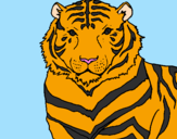 Disegno Tigre pitturato su andrea papiri