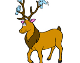 Disegno Cervo con uccellini  pitturato su natalia   sam torres