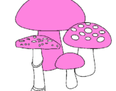 Disegno Funghi pitturato su la famiglia di giuseppe