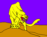 Disegno Tigre con affilati canini  pitturato su stefano