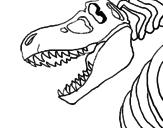 Disegno Scheletro di Tyrannosaurus rex pitturato su trex