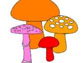 Disegno Funghi pitturato su IMMA
