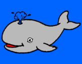 Disegno Balena che spruzza  pitturato su GiadaLPN