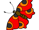 Disegno Farfalla  pitturato su farfallina rossa