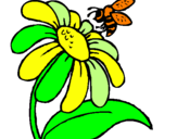 Disegno Margherita con ape  pitturato su mi