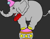 Disegno Elefante sulla palla  pitturato su valeria