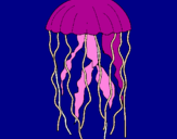 Disegno Medusa  pitturato su jodi