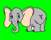Disegno Piccolo elefantino  pitturato su giulia negri