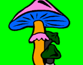 Disegno Funghi pitturato su mashrooms