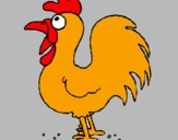 Disegno Gallo della fattoria  pitturato su margarita