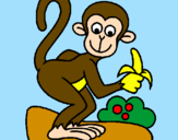 Disegno Scimmietta  pitturato su MICHELE
