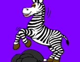 Disegno Zebra che salta sulle pietre  pitturato su carlo marcello demontis