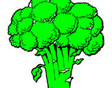 Disegno Broccoli  pitturato su SAMUEL LORIS  RUSSO