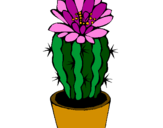 Disegno Cactus fiorito  pitturato su fai smiile