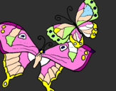 Disegno Farfalle pitturato su anna rita