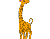 Disegno Giraffa  pitturato su gabriele 1