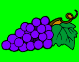 Disegno grappolo  pitturato su uva colorata