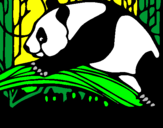 Disegno Oso panda che mangia  pitturato su GABRIELE