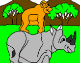 Disegno Rinoceronte e scimmietta  pitturato su LEONARDO
