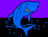 Disegno Squalo pitturato su squalo bianco