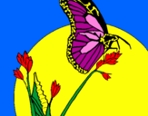 Disegno Farfalla su un ramo pitturato su sharon 
