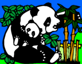 Disegno Mamma panda  pitturato su paolo