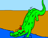 Disegno Alligatore che entra nell'acqua  pitturato su kevin