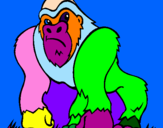 Disegno Gorilla pitturato su            gisy