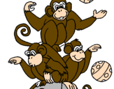 Disegno Scimmie giocoliere pitturato su Immantonio