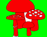 Disegno Funghi pitturato su luca
